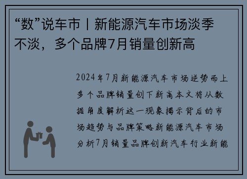 “数”说车市丨新能源汽车市场淡季不淡，多个品牌7月销量创新高